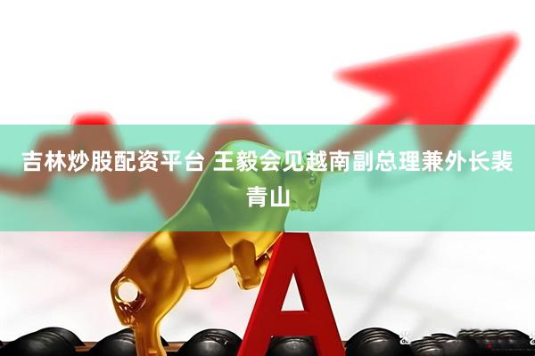 吉林炒股配资平台 王毅会见越南副总理兼外长裴青山