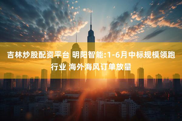 吉林炒股配资平台 明阳智能:1-6月中标规模领跑行业 海外海风订单放量
